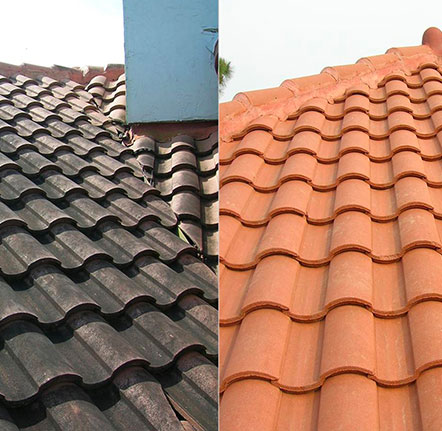 Nettoyage et démoussage de toiture à Levallois-Perret (92300) dans les Hauts de Seine (92)